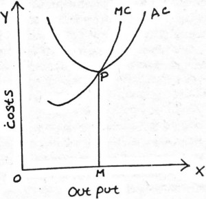 Factors Affecting Optimum Firm