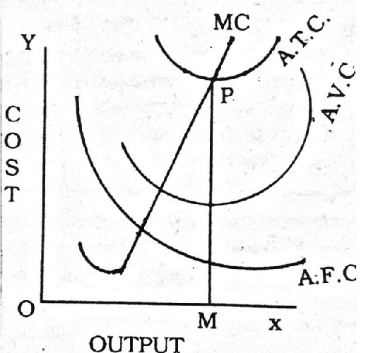 Diagrammatic Representation of Different costs