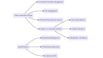 Ultimate Role of Chief Investment Officers (CIOs) in Corporate Finance